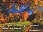 casa y arboles florecidos.jpg