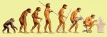 evolucion.jpg