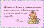 mateo-17.gif