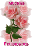 %21cid%5F010901c38f4e%24b43ccb50%241e22e2a8%40gjd.gif