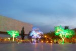 navidad en parque de los pies descalsos.jpg