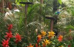 Jardín Botánico.jpg