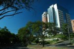 edificios en la avenida El Poblado Medellín.jpg