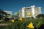 edificio inteligente y flores.jpg