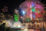 Navidad avenida la playa.jpg