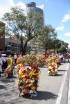 Desfile de silleteros en la feria de las flores.jpg