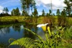 Paisaje en Santa Elena Antioquia1.jpg