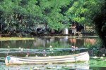 Jardín Botánico de Medellín lago..jpg