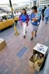 niño durmiendo en caja de cartón.jpg