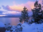 55910_wallpaper280.jpg
