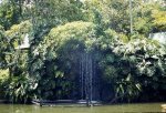 foto que tomé fuente en el parque.jpg