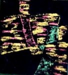 pintura sobre fondo negro ..jpg