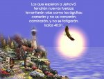 Bíblicas pasaje.jpg