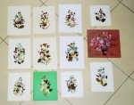 tarjetas con flores secas (Virginia).jpg