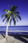 playa en Coveñas, Sucre, Colombia.jpg
