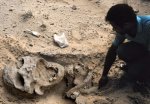 arabiangiantman.jpg