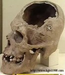 calavera gigante y alargada de Per&#250;.jpg