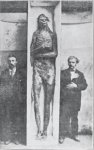‎18 giant skeletons with 6 fingerstoes on each limb were found in Wisconsin.jpg