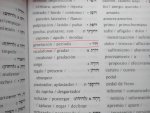 dor hebreo moderno.jpg