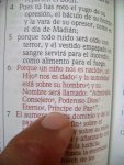 DSC07543.JPG