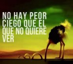 NO HAY PEOR CIEGO.JPG