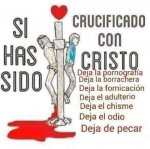 el viejo hombre.jpg