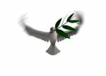 1557174279924.png