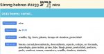 simiente.jpg
