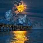 NATURE FOTACA LUNA .jpg