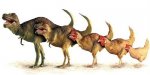 aves_dinosaurios.jpg