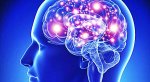 Neurociencia-750x410.jpg