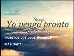 VENGO PRONTO.jpg