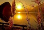 amanecer 1 .jpg