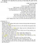 sshot-142.jpg