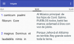 para david vulgata.png