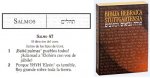 para davaid biblia hebraica.jpg