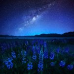 UNIVERSO TIERRA HD .jpg
