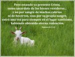 Hebreos.jpg