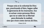  FRASE CESPEDES  .jpg