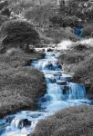  AGUA AZUL .jpg