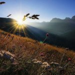 NATURE MONTE Y LUZ .jpg
