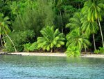 CARIBE PLAYA PALMERASn.jpg