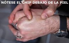 chip.jpg