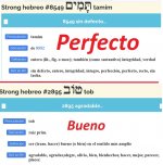 Bueno.jpg