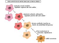 1607981067111.png