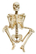 1609938313064.png
