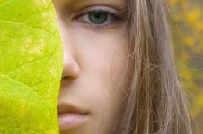 istockphoto-1069682248-170667a.jpg