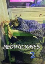 gato.jpg