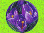 Animacióncon flor.gif