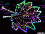Animaciónluces.gif